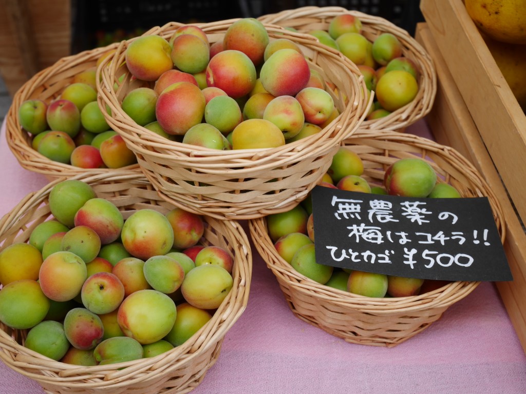 Farmer Market